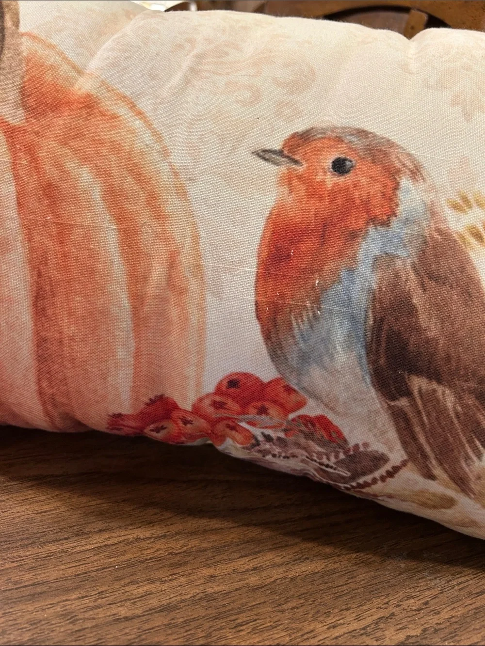 Autumn Robin Pumpkin Accent Pillow - Cream and Orange